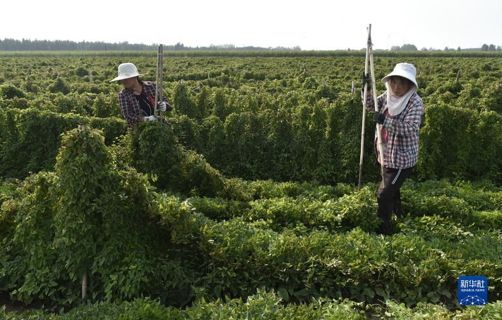 永利取款风控审核